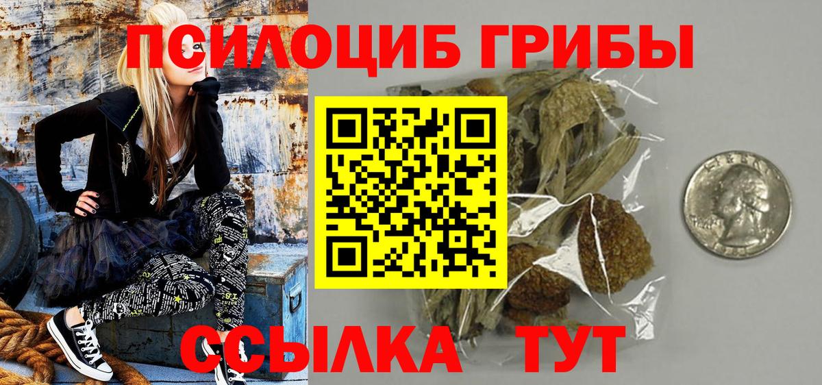 Псилоцибиновые грибы Magic Shrooms  Псилоцибиновые грибы Cubensis  Вход с VPN  Тамбов 