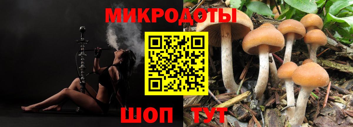 Псилоцибиновые грибы прущие грибы Тамбов