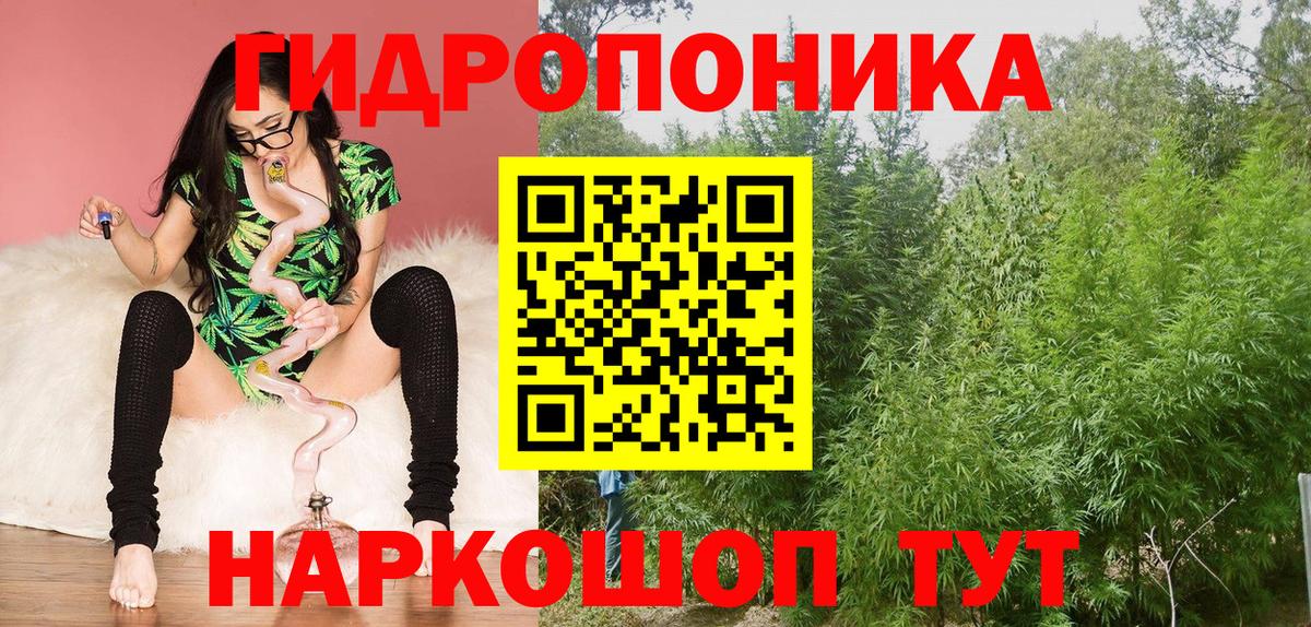 МАРИХУАНА White Widow  Бошки марихуана Ganja  Вход с VPN  Канабис OG Kush  Тамбов 